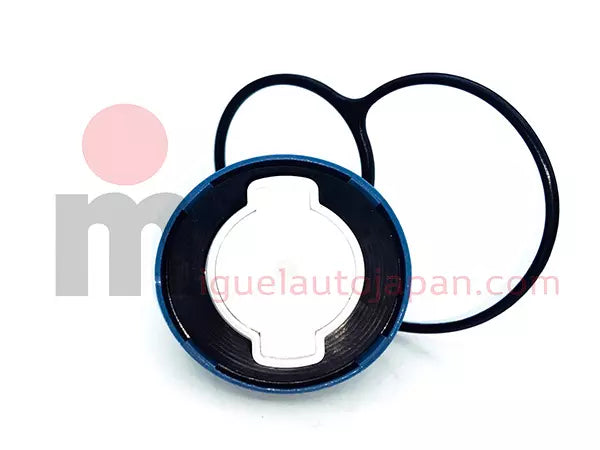 Tapon de Adblue para Nissan NT400 y Renault Maxity
