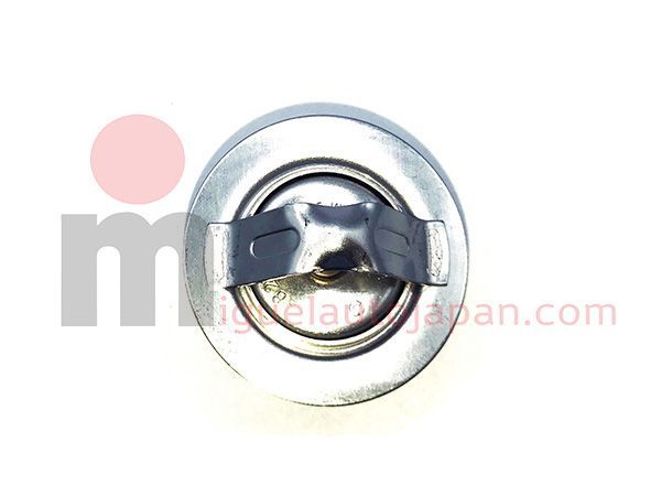 Termostato Nissan Cabstar y Atleon BD30