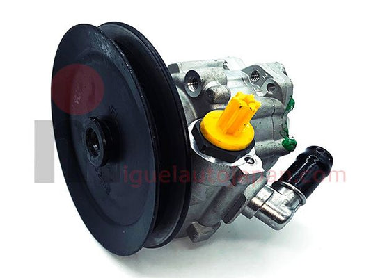 Steering pump for Cabstar and Atelon BD30 1 channel