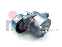 Polea tensora de accesorios para Nissan NT400