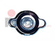 Radiator cap for Nissan Cabstar from 2007 onwards