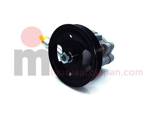 Bomba de direccion para Nissan Cabstar 2006-2012